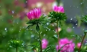 ورود سامانه بارشی به کشور از شنبه