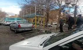 وزش باد شدید در پایتخت/ مردم از تردد در فضای باز خودداری کنند

