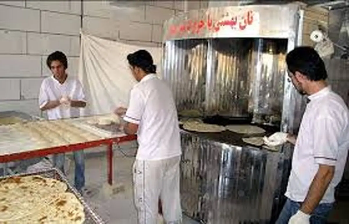 استاندار بوشهر: نانوایی‌های استان به سوخت دوم تجهیز شدند