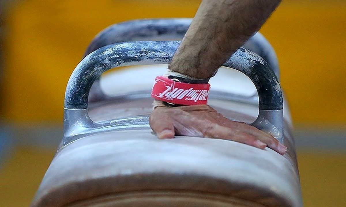 فدراسیون ژیمناستیک پلمب شد
