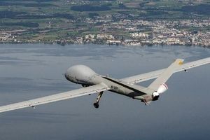 روایت شکار پهپاد هرمس ۹۰۰، از زبان شکارچی این پرنده/ ویدئو