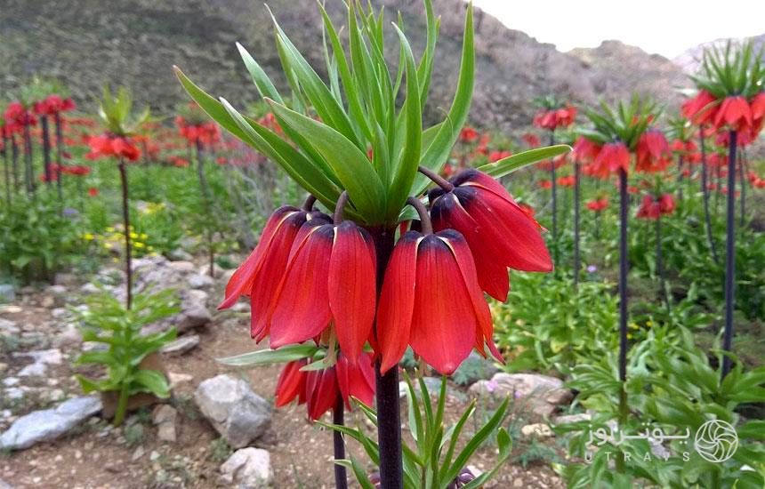 راهنمای سفر نوروزی به اصفهان