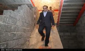 گورخواب‌ها از نگاه هاشمی