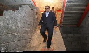 گورخواب‌ها از نگاه هاشمی