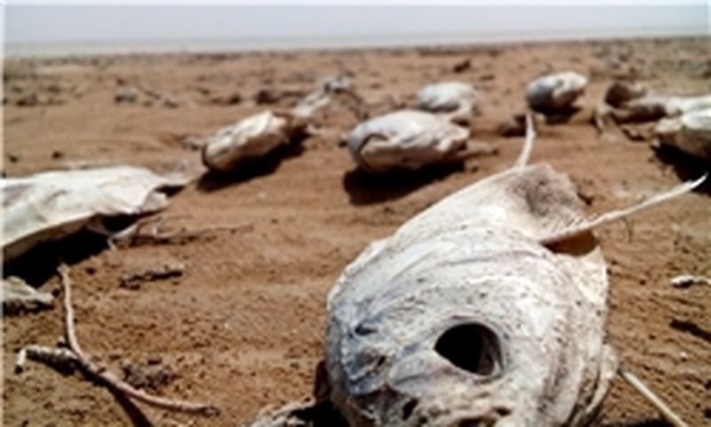 تالاب «آقگل» خشک شد