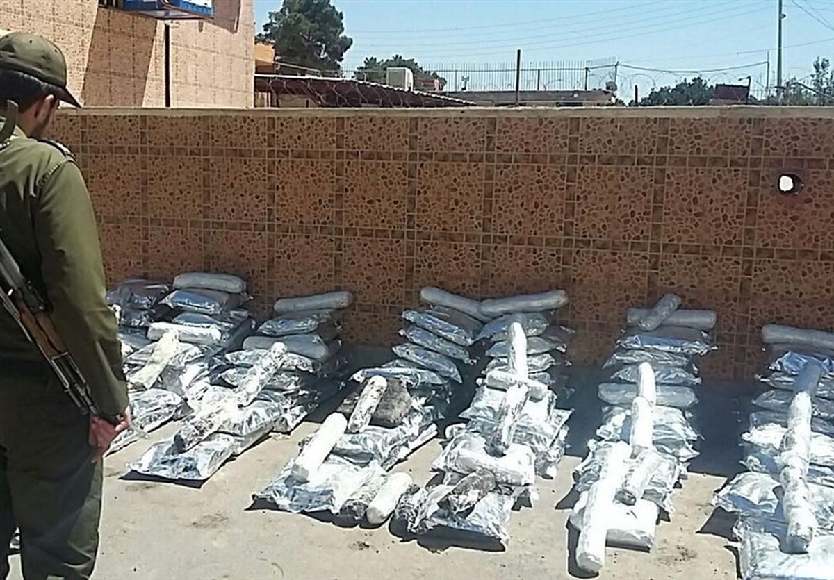 مرکز سگ‌های موادیاب ‌راه‌اندازی می‌شود‌/ کشف 700 تن مواد مخدر در استان هرمزگان