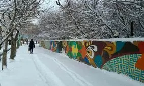 اردبیل در بیست و پنجمین روز از زمستان رخت سفید بر تن کرد