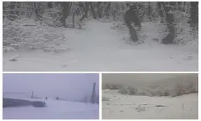 دمای بخش کوهستانی دیلمان به زیر صفر رسید