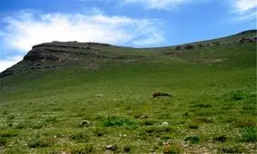 ۴۶۰ هکتار از اراضی ملی در شمیرانات از دست متصرفان آزاد شد