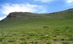 ۴۶۰ هکتار از اراضی ملی در شمیرانات از دست متصرفان آزاد شد