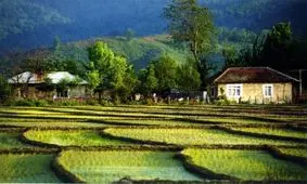 ارتقای رتبه کشاورزی گیلان از اهداف استان است