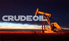 ۲۹ شرکت خارجی واجد شرایط شرکت در مناقصه‌های نفتی ایران شدند