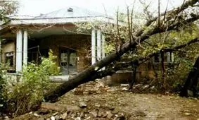 شعر نیما دیگر بوی نویی نمی‌دهد، بوی قلیان می‌دهد