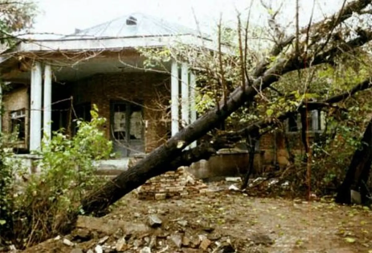 شعر نیما دیگر بوی نویی نمی‌دهد، بوی قلیان می‌دهد