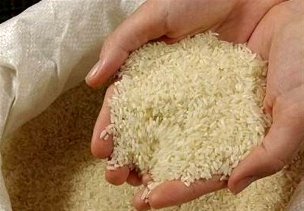آغاز خرید تضمینی برنج از فردا