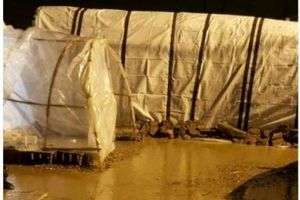 عکس/ آبگرفتکی چادر‌های اسکان موقت زلزله زدگان در پی بارش شدید باران