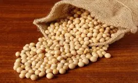 دستگیری سه متخلف در پرونده سویای آلوده