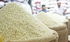 بازی گرانی با برنج؛ چه خبره این قیمت‌ها؟/ ویدئو