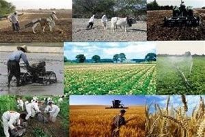 ۴۴ کشاورز نمونه در استان گلستان انتخاب شدند