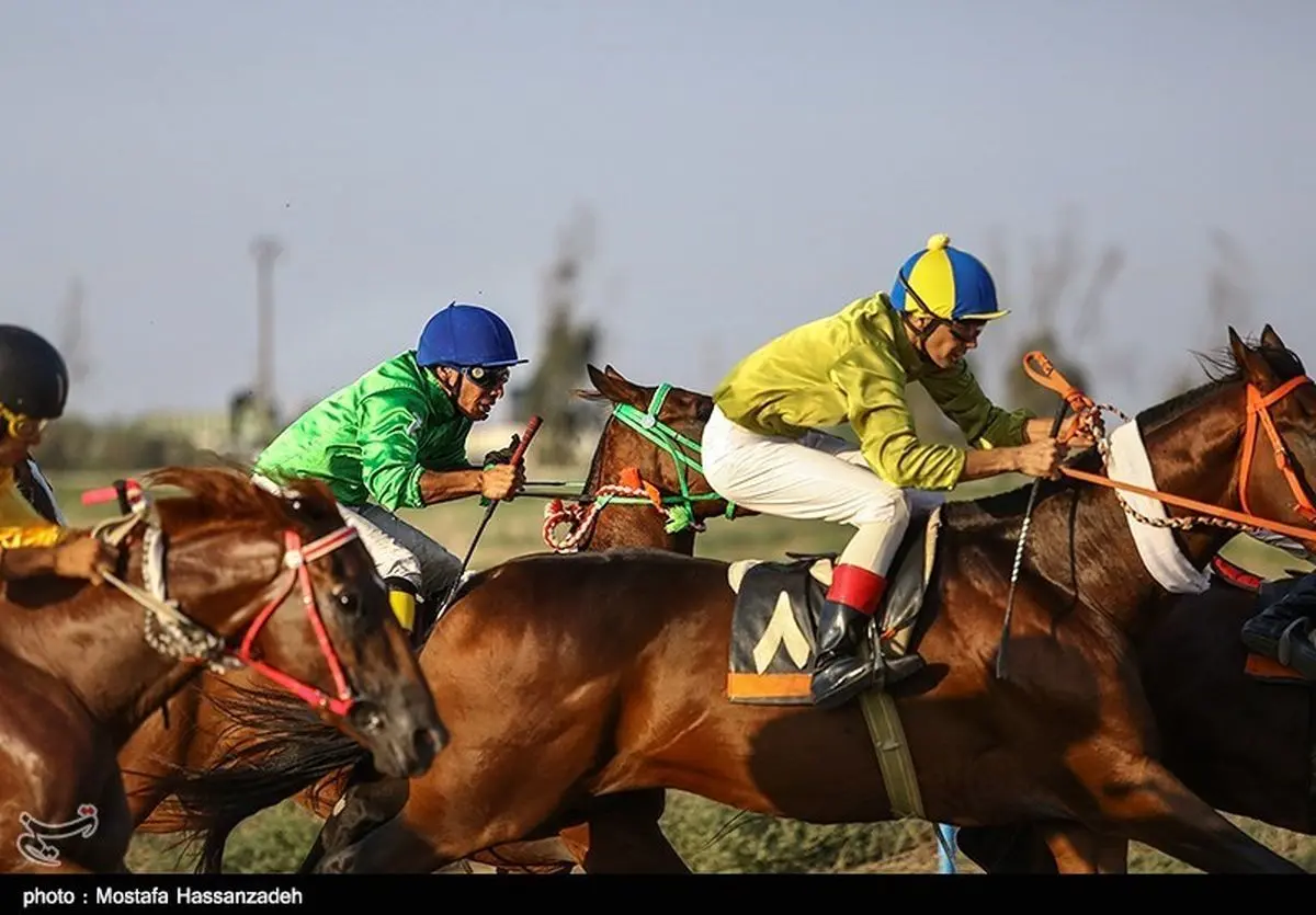مسابقات کورس اسب دوانی قهرمانی کشور در مشهد برگزار می‌شود