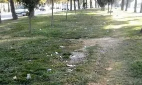 سرانه فضای سبز استان البرز از سرانه استاندارد کمتر است