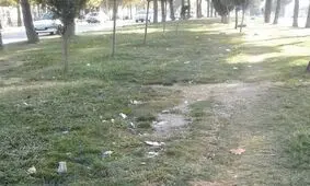 سرانه فضای سبز استان البرز از سرانه استاندارد کمتر است