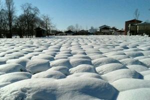 آمادگی لاهیجان برای مقابله با مشکلات احتمالی ناشی از بارش برف
