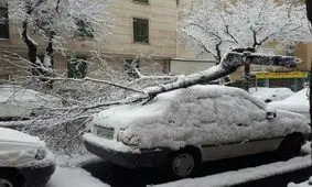 ۱۰۰ تماس با آتش‌نشانی تهران درباره سقوط اجسام
