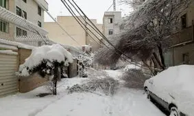 فیلم/ بارش برف و مسدود شدن جاده قدیم تهران کرج