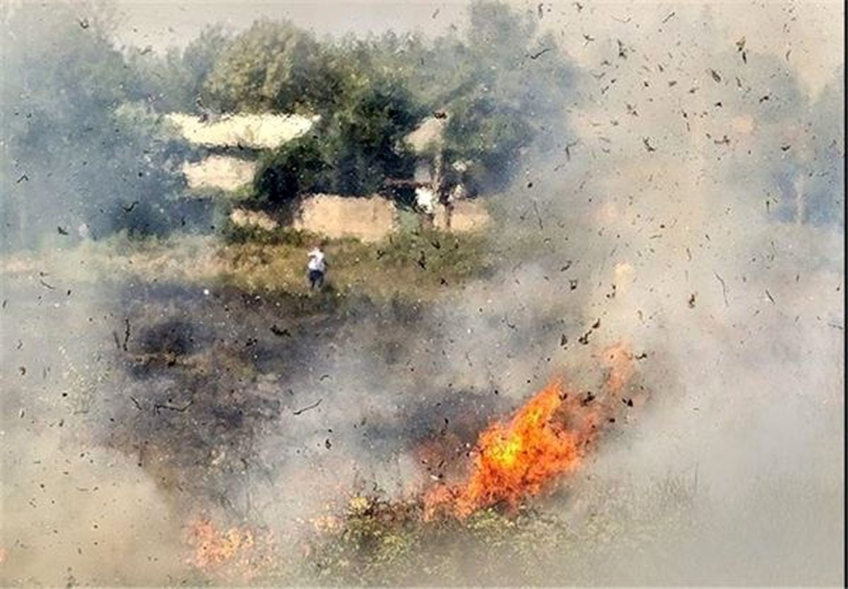 آتش زدن زمین‌های کشاورزی در گیلان سبب مرگ هزاران نفر می‌شود