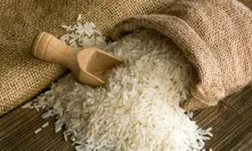 شکستگی دانه‌های برنج رشت کاهش می‌یابد