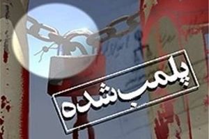 ۸۰ واحد فروشندگی غیر مجاز سم در کرمان پلمب شد