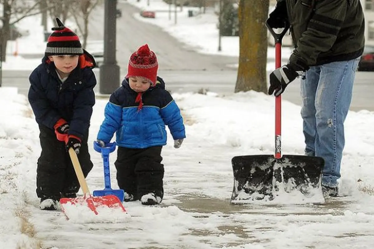 پارو کنید حیف نون‌ها