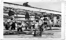 از مثله شدن و حل شدن در اسید تا فرار به خارج از کشور