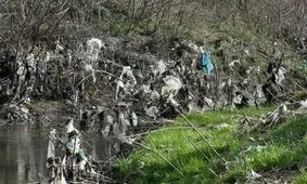 قوه مقننه ‌پیشنهاد دولت برای تخصیص بودجه به حوزه پسماند را قبول کند