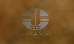 آیا فقط محیط‌ زیست خوزستان، در خطر است؟