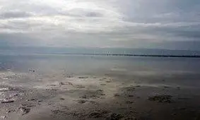 ۲۰درصد تالاب میانکاله خشک شد