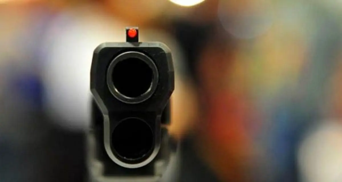 تیراندازی در محدوده محوطه ریاست جمهوری/ مهاجم بازداشت شد