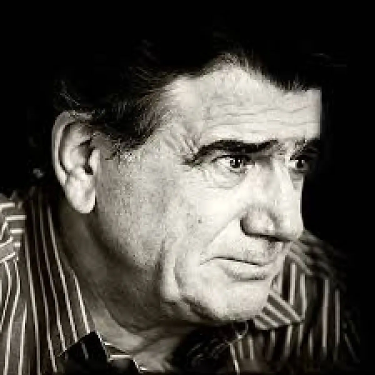 محمدرضا شجریان رییس افتخاری شورای عالی خانه موسیقی شد