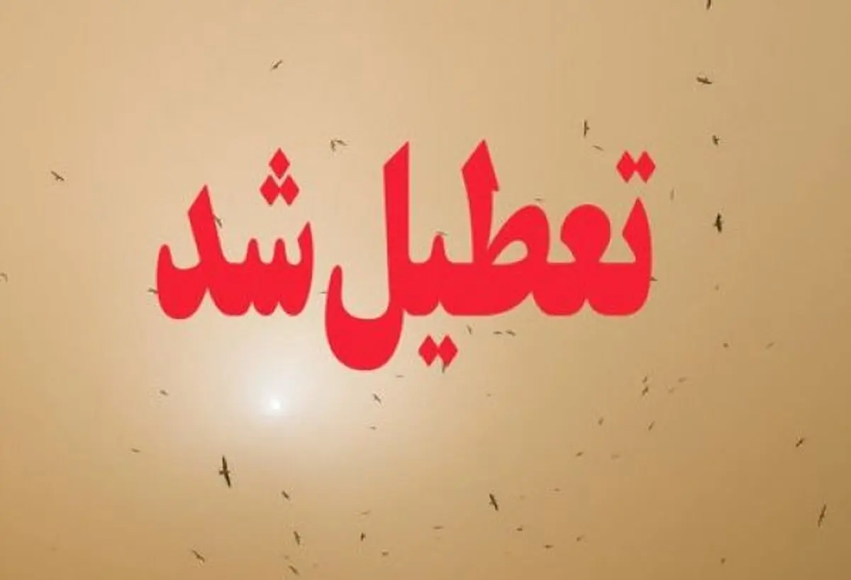 مدارس تهران فردا سه شنبه 17 بهمن تعطیل است
