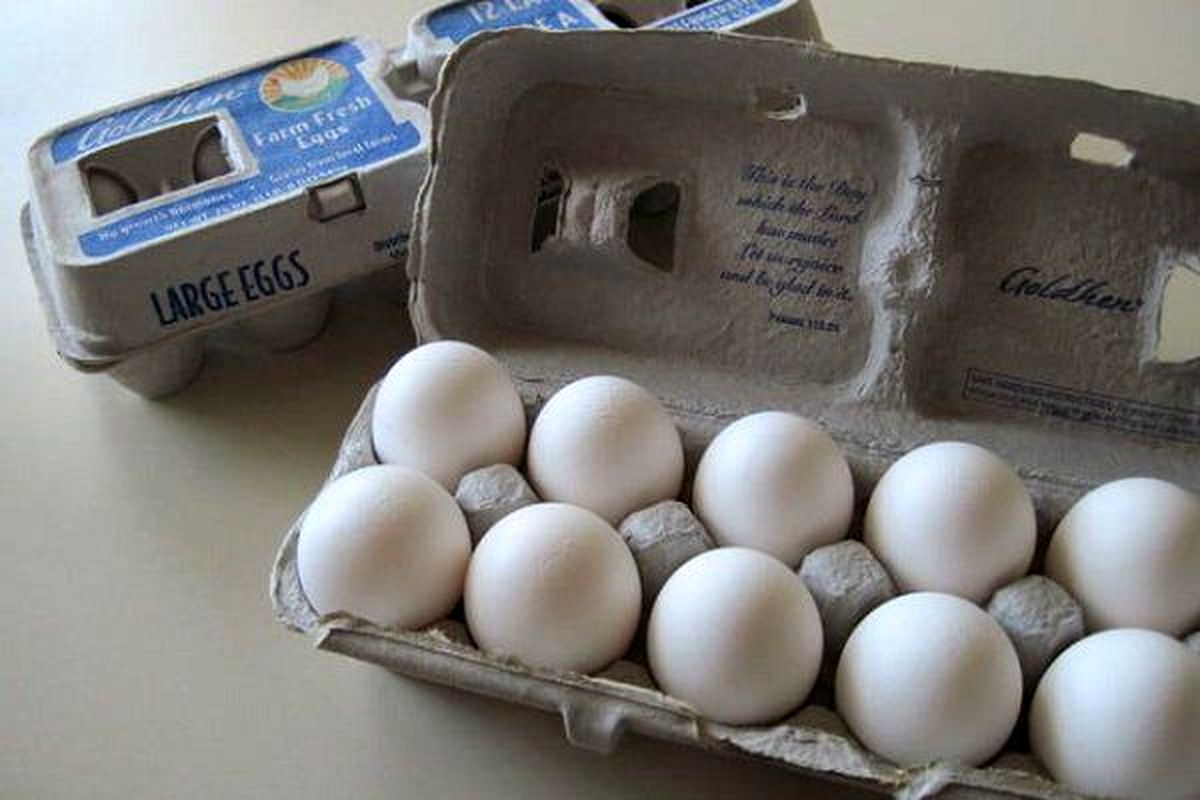 با گوگل تخم مرغ هایتان نمی شکند!
