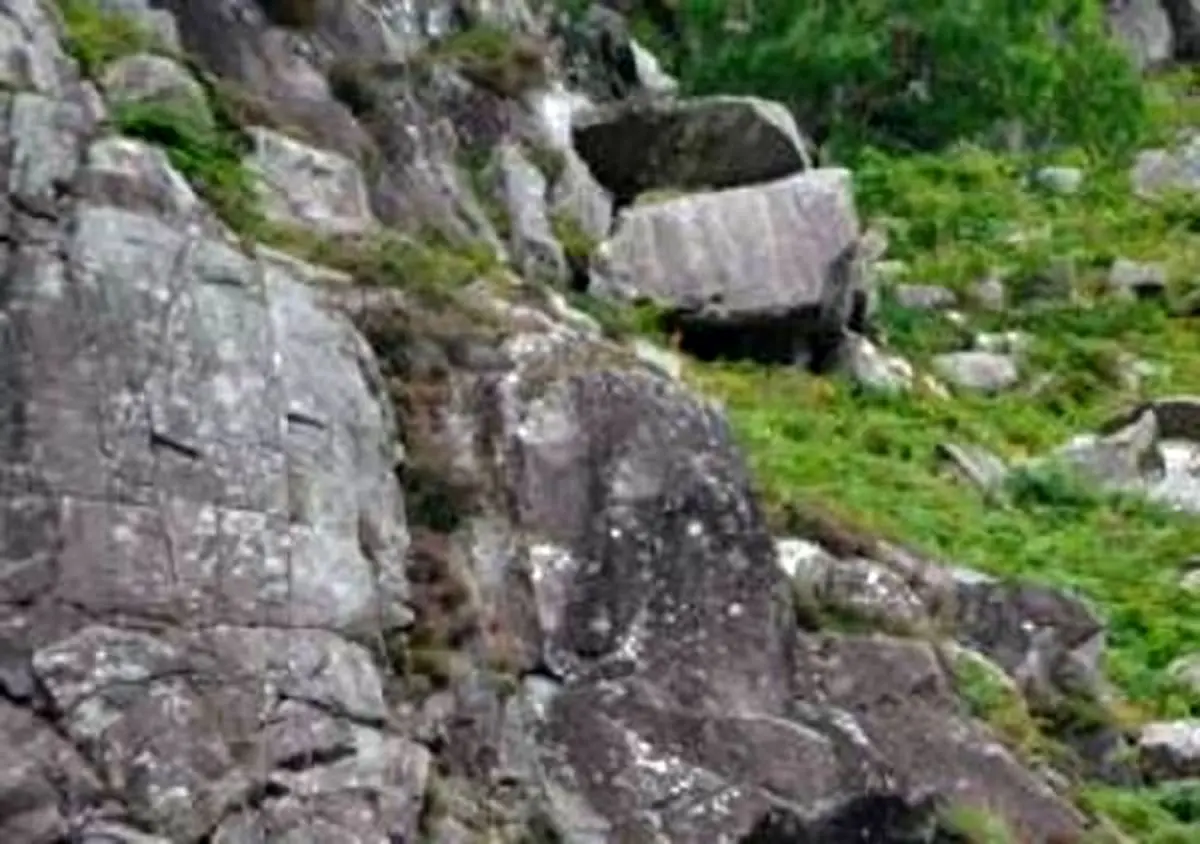 سقوط در کوهستان باعث مرگ یک دامدار تالشی شد