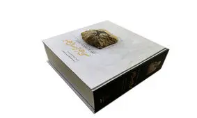 «سی هزار سال هنر» کتاب شد