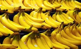 دو برابر شدن قیمت موز از مرز تا بازار