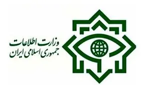 اقدامات وزارت اطلاعات در پرونده بابک زنجانی؛از شناسایی واردات ۵۰۰دستگاه خودرو تا کشف طلا و دبیت کارت