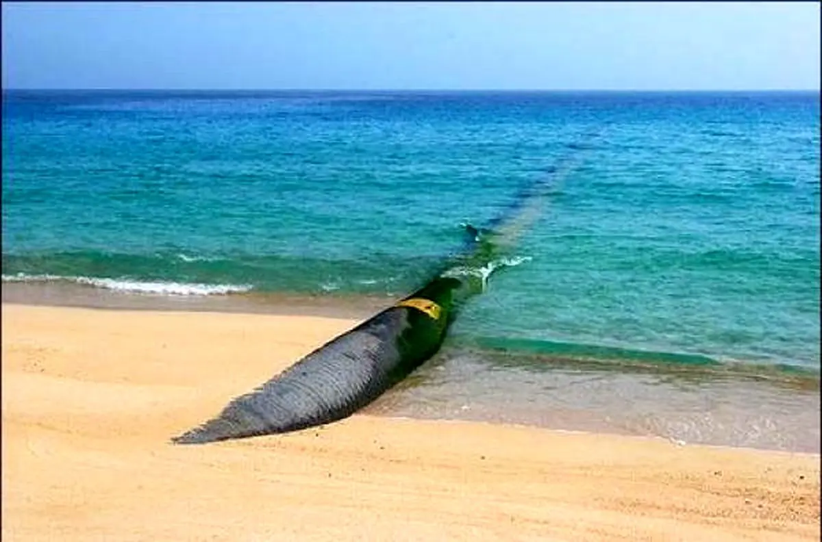 ایران سال آینده به عمان گاز ارسال نمی کند