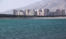 مشاهده 3 لاشه پرنده مبتلا به آنفلوانزای فوق حاد پرندگان در اطراف دریاچه چیتگر تهران
