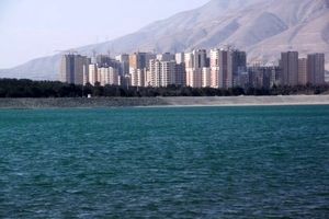 مشاهده 3 لاشه پرنده مبتلا به آنفلوانزای فوق حاد پرندگان در اطراف دریاچه چیتگر تهران