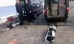 پیکر دریانوردان ایرانی سه شنبه شب به تهران منتقل می شوند