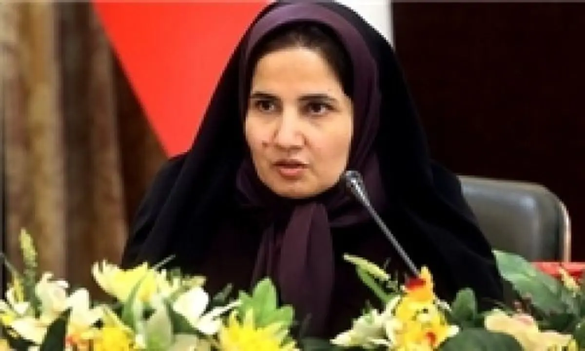 برگزاری همه پرسی از اصول قانون اساسی است/منعی وجود ندارد